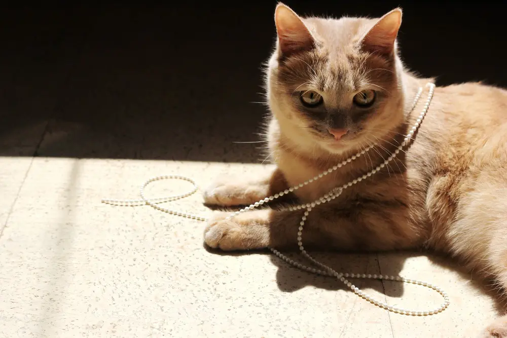 Window treatments Manhattan